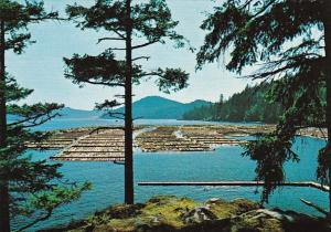 Canada Vancouver Island Log Booming Grounds