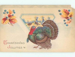 Divided-Back THANKSGIVING SCENE Great Postcard AA0434