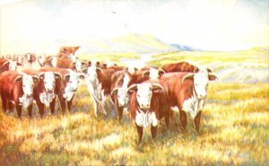 Cows Flowing Gold Of The Western Range Painted By L H Dud Larsen