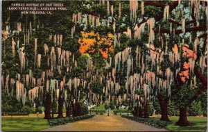 Famous Avenue of Oak Trees New Orleans LA Post Card PC1