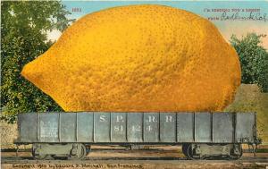 c1910 Postcard Exaggeration Sending Huge Lemon from Redlands CA SPRR Agriculture