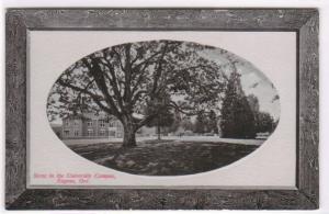 University of Oregon Campus Eugene OR 1910 postcard