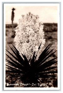 RPPC Spanish Dagger Flower Del Rio Texas TX UNP Postcard N18