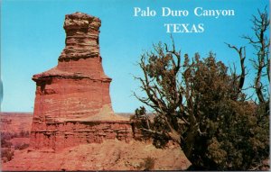 USA Palo Duro Canyon Texas Chrome Postcard C024