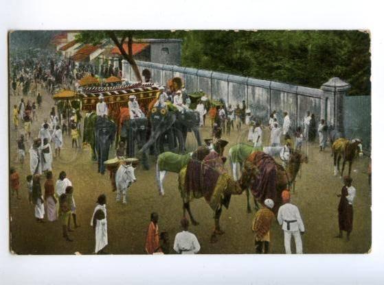 147411 INDIA Idol procession CAMELS elephants Vintage postcard