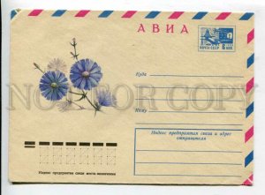 430723 USSR 1975 year Artsimenev chicory flower postal COVER