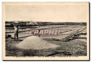 Old Postcard Batz sur Mer In Saltmarsh Removal of salt has the Gede