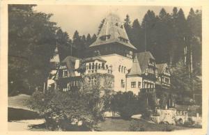 Romania Sinaia Pelisorul 1950s postcard