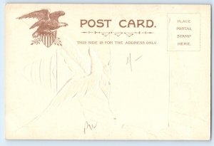 c1905 US Capitol Building Eagle Patriotic Flag Embossed Antique Postcard