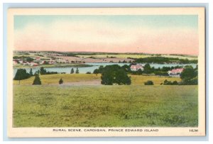 c1950s Rural Scene Cardigan Prince Edward Island Canada Unposted Postcard