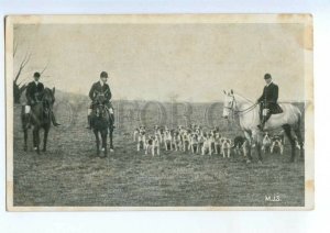 3145687 HUNT Hunters on HORSE & Hounds POINTER Vintage PHOTO PC