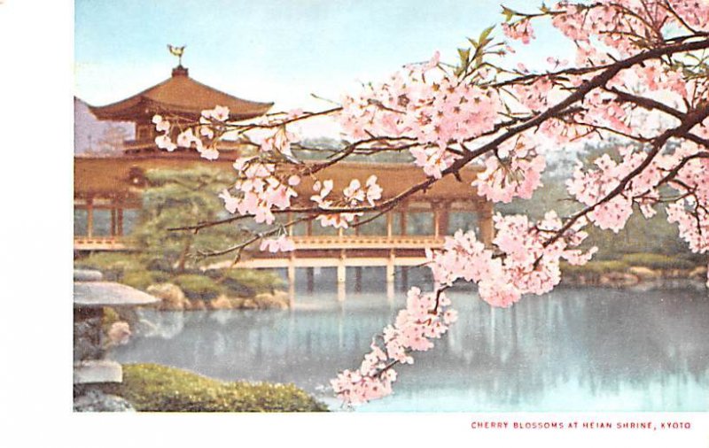 Cherry Blossoms at Heian Shrine Kyoto Japan Unused 