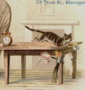 1880s T.H. Kortum Watches Clocks Spectacles Cute Cat Shreveport, LA #3 #7L