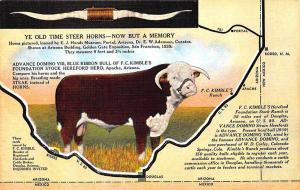 Douglas AZ Blue Ribbon Bull of F. C. Kimble's Stock Ranch Linen Postcard 