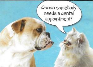 US #4387  Polar Bear.  Schedule your Dental Appointment.  Cute picture