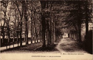 CPA Chaource- Les promenades FRANCE (1007389)