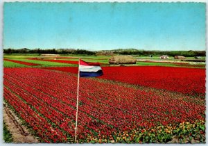 M-27720 Land of Flowers Holland Netherlands