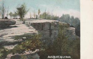 On Top of the Rocks - Rock City Park, Olean NY, New York - pm 1910 - DB