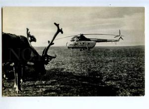 237458 Russia KOMI Republic helicopter on reindeer pastures old postcard