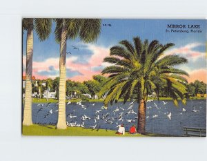 Postcard Mirror Lake, St. Petersburg, Florida