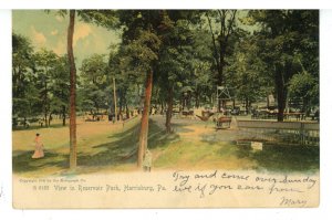 PA - Harrisburg. View in Reservoir Park ca 1905      DPO- SEE DETAILS**
