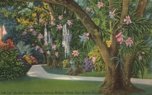 Vintage Postcard 1962 Orchid Lane Thomas Edison Winter Home Fort Myers Florida
