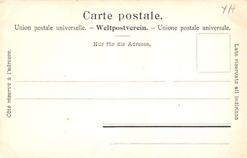  Switzerland Postcard Interlaken Hoheweg 