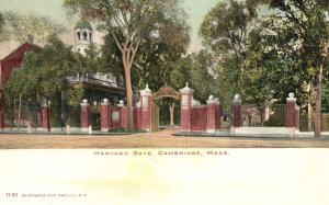 Harvard Gate Trees Landmark Cambridge Massachusetts MA Illustrated Pub. Postcard