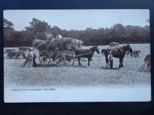 Sussex Brighton FALMER Country Life HARVESTING Shire Horses & Hay - Old Postcard