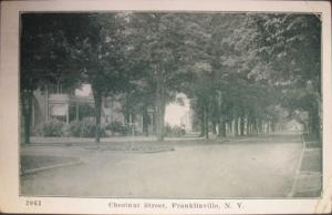 FRANKLINVILLE NY Chestnut St c1910 Postcard