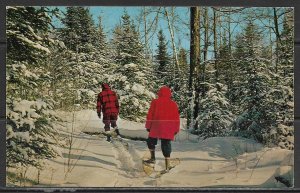 New Jersey, Union - Hike In Fresh Snow - [NJ-159]