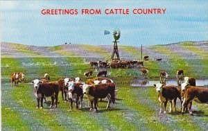 Greetings From Cattle Country Omaha Nebaska
