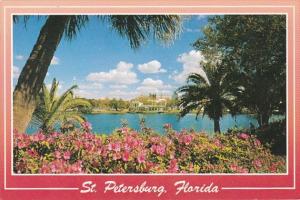 Florida St Petersburg Azaleas Beside Mirror Lake