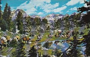 Wyoming Dubois Pack Trip In The Wind River Range 1980