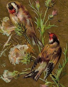 1907-15 A Joyful Christmas Postcard Song Birds Embossed Gold Back Round Floral