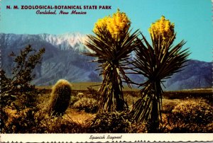 New Mexico Carlsbad New Mexico Zoological-Botanical State Park Spanish Bayonet