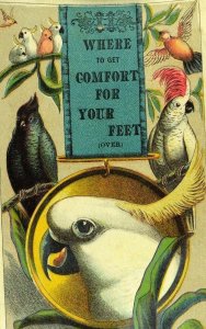 1870's-80's Lovely Parrots Birds, Morgans Shoes, 16 Reasons, San Francisco F99