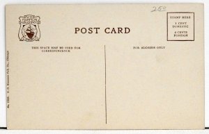 Zebra, Lincoln Park, Chicago Postcard