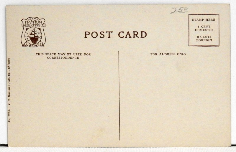 Zebra, Lincoln Park, Chicago Postcard