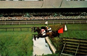 New York Saratoga Race Track Horses Negotiating The Water Jump