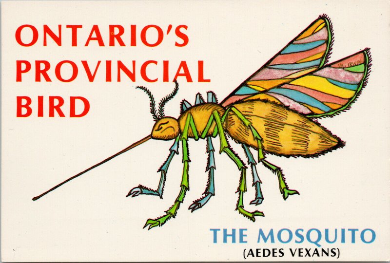 The Mosquito Ontario's Provincial Bird ON Insect Aedes Vexans UnusedPostcard C5