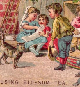 1880s Schilling's Blossom Tea Children Playing Drinking San Francisco CA F59