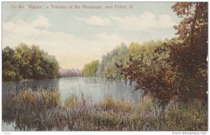 On The Wapsie, A Tributary Of The Mississippi, Near FULTON, Illinois, 1900-...