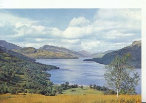 Scotland Postcard - Loch Lomond - Dunbartonshire - Ref TZ8672