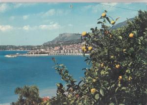 BF21491 menton vue generalel france front/back image