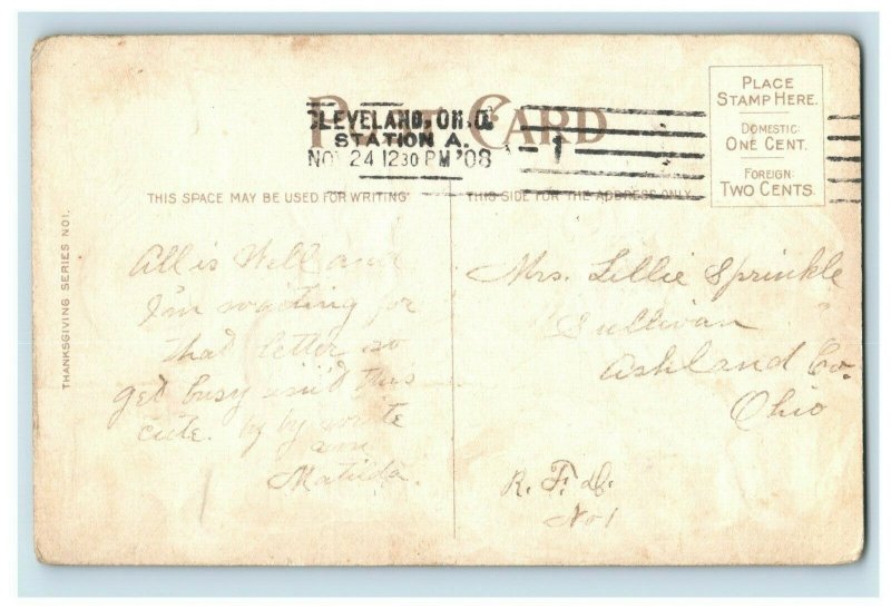 c.1910 Thanksgiving Greetings U.S. Shield Turkey Series No. 1 P164