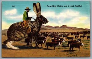 Postcard c1940s Punching Cattle on a Jack Rabbit Exaggerated Linen