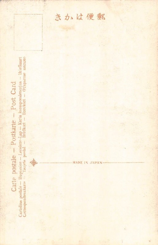 L266 Japan Urami Waterfall Nikko vintage postcard