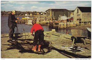 Fishing, EASTERN SHORE, Nova Scotia, Canada, 40-60´