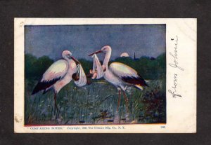 Storks Holding Babies Birds 1905 UDB Postcard